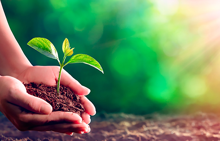 918������(�й���)�ٷ���վ